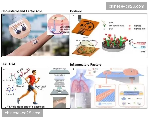 新型可穿戴传感器投入试用，用于监测球员训练中的脑震荡风险。